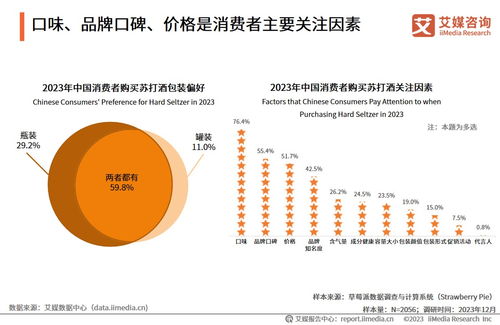 2023年中国苏打酒行业发展及消费需求洞察 计算机软硬件在行业中的开发与销售应用